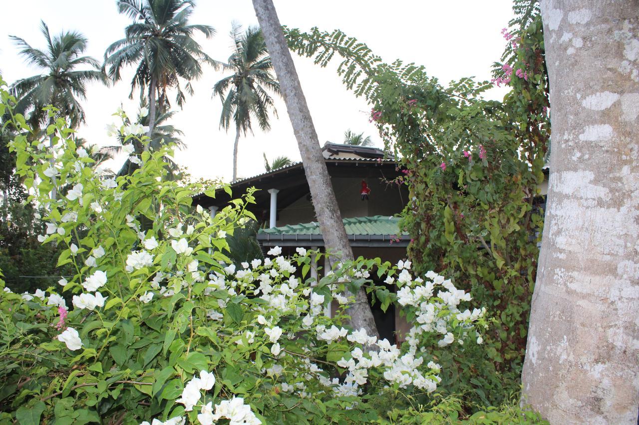 All View Resort Tangalle Zewnętrze zdjęcie